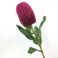 Artificial Australian Banksia Stem Flower Plant for Home Wedding Party Floral Arrangements Decoration