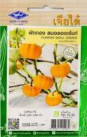 ฟักทอง สมอลออเร้นท์ Pumpkin Cucurbita pepo L. F-1 Hybrid พันธุ์ลูกผสม เมล็ดพันธุ์ตราเครื่องบิน เจียไต๋