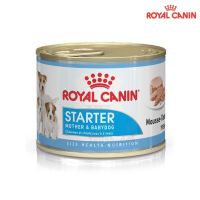 Royal Canin Starter Mother&amp;Babydog ชนิดเปียกแบบกระป๋อง 195g. ( 12 กระป๋อง )