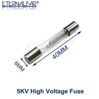 5KV ฟิวส์เตาอบไมโครเวฟพิเศษ6*40มม. 0.65A 0.7A 0.75A 0.8A 0.85A 0.9A ฟิวส์หลอดแก้ว5000V 700MA 6X40มม. ฟิวส์แรงดันสูง