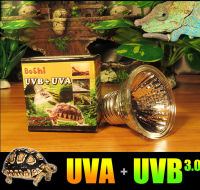 D3ฮาโลเจนทังสเตน Uva Uvb 110V 25W 50W หลอดไฟกระตุ้นความอยากอาหารการสังเคราะห์แคลเซียมกระตุ้นความอยากอาหาร