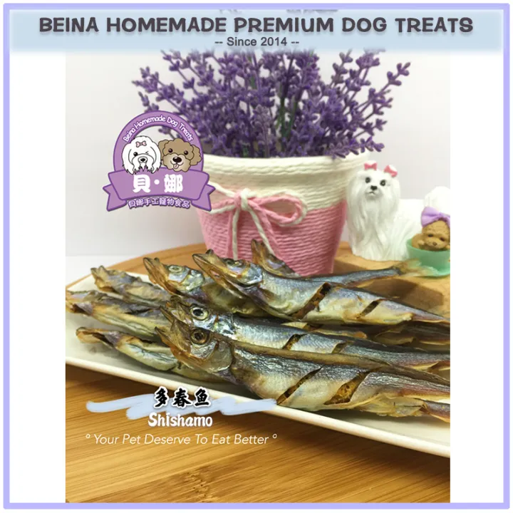 Beina Shishamo 多春鱼 8 Pcs 风干宠物手工零食homemade Dog Snack Homemade Dog Treats Handmad Fishe Dog Snack Handmade Dog Treats Lazada