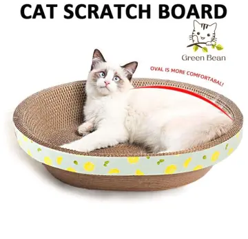 Cat 2024 scratcher bowl