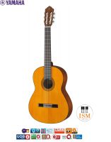 YAMAHA CG102 Classical Guitar กีต้าร์คลาสสิกยามาฮ่า ขนาด 4/4 รุ่น CG102