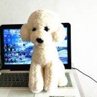 【hot】❡  lovely Dog Mannequins toy Furnishing Dressup