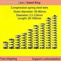 Pressure Plate Spring Strong Release Return Shock Spring Wire Diameter 2.5mm 3.0mm