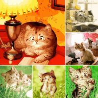 ▦▽ Silly Cat Painting By Numbers For Adults Kids Kits Hand Painted Drawing Canvas DIY Oil Coloring Paint Picture By Numbers