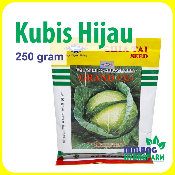 Benih Kubis Grand 11 250 Gram Bisi Cap Kapal Terbang F1 Bibit Gubis Kol