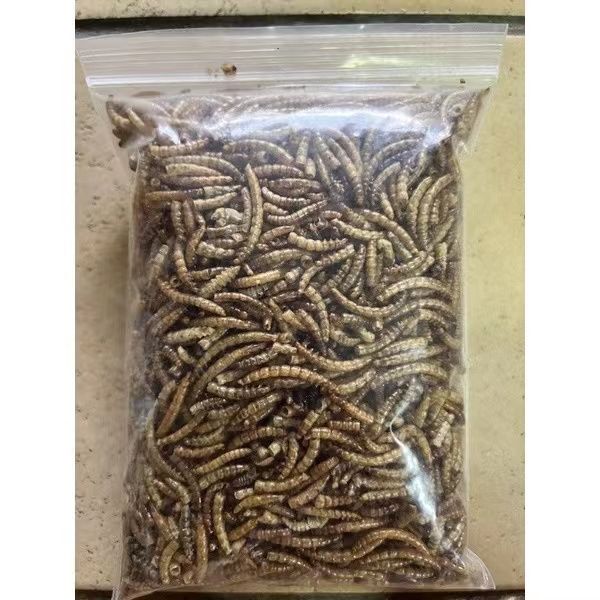 หนอนนกอบแห้ง-dried-mealworms-หนอนคัด-ไม่คัดตัวหนอน-50-100-กรัม-pet-ชูการ์-หนูแฮมเตอร์-เม่นแคระ-นก-ปลา