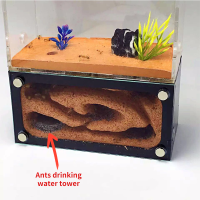 คุณภาพสูงคอนกรีต Ecological Ant Farm Acryl Ant House สัตว์เลี้ยง Anthill Workshop ปราสาททราย Nest Sandcastle แมลงกล่อง14*7*14ซม.