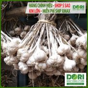 Tỏi Hải Dương - Dori Thơm - 1kg - Tỏi bắc củ to cay và thơm