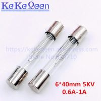 0.9A 0.75A 0.7A 6X40Mm ฟิวส์6*40มม. 0.65A ฟิวส์0.8A ฟิวส์ไมโครเวฟ5000V 0.6A 0.85A เตาอบพิเศษ Gl หลอดฟิวส์5Kv แรงดันสูง (750Ma_10Pcs 0.75A)