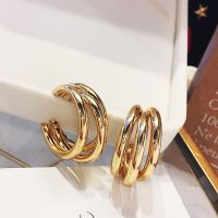 925 Silver Needle Cold Wind Earrings Simple Irregular Multi-layer Ring European And American Metal