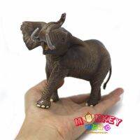 Monkey Toys - โมเดลสัตว์ Elephant ช้าง เอเชีย ขนาด 20.00 CM (จากหาดใหญ่)