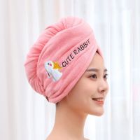 1PC Soft Microfiber Girl Hair Towel Super Absorbent Quick Drying Magic Shower Cap for Women Bathroom Hair Turban Twist Head Wrap Towels