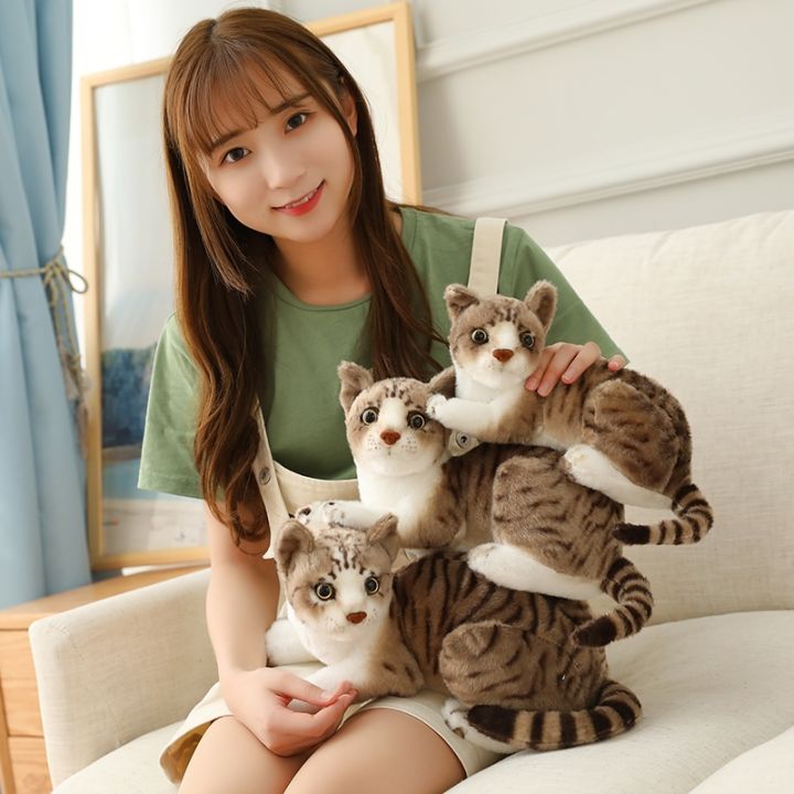 cc-26-30-40cm-real-cats-stuffed-lying-for-children-baby-kids-birthday-decoration