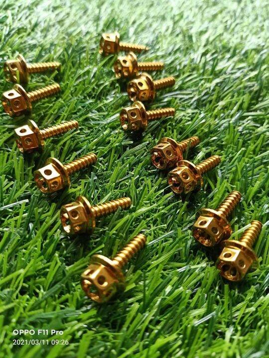 Honda beat fi v1 and v2 (14pcs) Gold body bolts (heng) Lazada PH