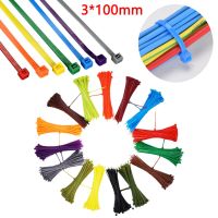 30pcs/pack Self-locking plastic nylon tie 3*100mm width 3mm 9 color Plastic Wire Zip Ties Cable Organiser