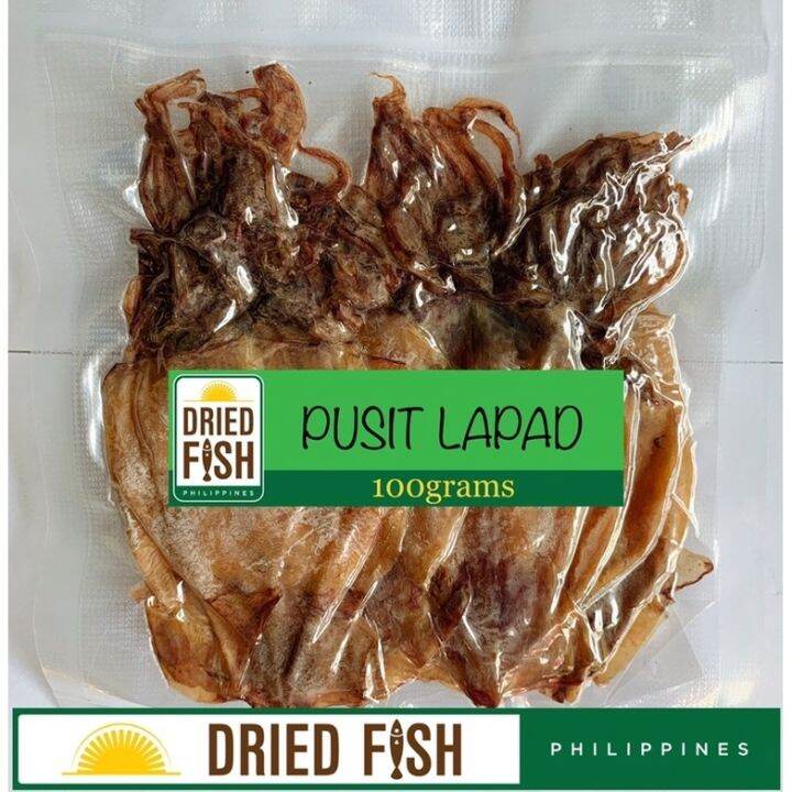 Small food DFP Dried Pusit Lapad 100grams Lazada PH