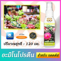 โปรตีน ชนิดพ่น สำหรับกระบองเพชร อะมิโนโปรตีน สำหรับแคคตัส 120 ml. Green Garden - Amino Protein For Cactus