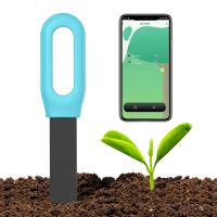 【hot】✒☾✙  Tuya 2 1 Soil Moisture Ambient Temperature Test Indoor Potted Measuring Instrument Gardening Tools