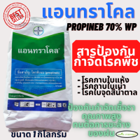 แอนทราโคล (โพรพิเนบ) 1 กิโลกรัม ป้องกันเชื้อราพืชคุณภาพสูง ใบจุดสีน้ำตาลในข้าว ราน้ำค้างในคะน้า แอนแทรคโนสในพริก