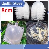 Dgdfhj Shop 5pcs 8cm Fruit Plant Tree Rooting Ball Root Box Plastic Case Transparent Grafting Rooter Growing High-pressure Breeding