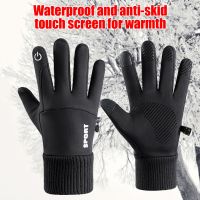 【CW】 Warm Thermal Gloves Non slip Windproof for Outdoor Motorcycle Ski