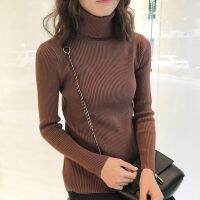 Women Slim Soft Sweaters Long Sleeve High Neck Knit Stretch Sweater Tops