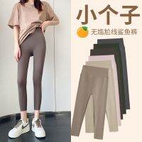 Eight female shark pants outside wear 2023 new tall waist abdomen in chun xia thin little yoga barbie leggings