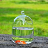 、’】【‘ Round/Rectangle Shape Hanging Glass Aquarium Fish Tank Fish Bowl Transparent Vase Ornament With Rack Holder Home Decoration