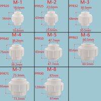 1ชิ้นปลั๊ก DN15 DN20 DN25 PPR PE พลาสติกเต็มรูปแบบตัวยึดท่อประปาข้อต่อท่อน้ำข้อต่อแบบชนละลายร้อน1/2 "3/4" 1 "นิ้ว