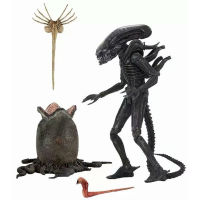 NECA บิ๊ก Chap คนต่างด้าวรูปการกระทำที่ดีที่สุด40th ครบรอบไข่ Facehugger สะสมของเล่นรุ่น22เซนติเมตร