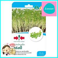 เมล็ดพันธุ์ต้นอ่อนโตวเหมี่ยว คริสปี้ ศรแดงDOWMIAO SPROUTS SEEDS SORNDAENG CRISPY **สินค้าแนะนำ**