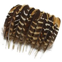 10Pcs/Lot Pheasant Feathers for Crafts Birds Feather Handicraft Artificial Decoration