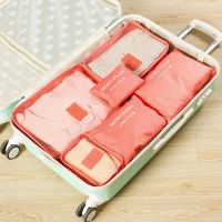 Organizer Clothes Organizer Bag Waterproof Clothing Underwear Shoes Storage Bag Luggage Bag Travel Bag Organizador