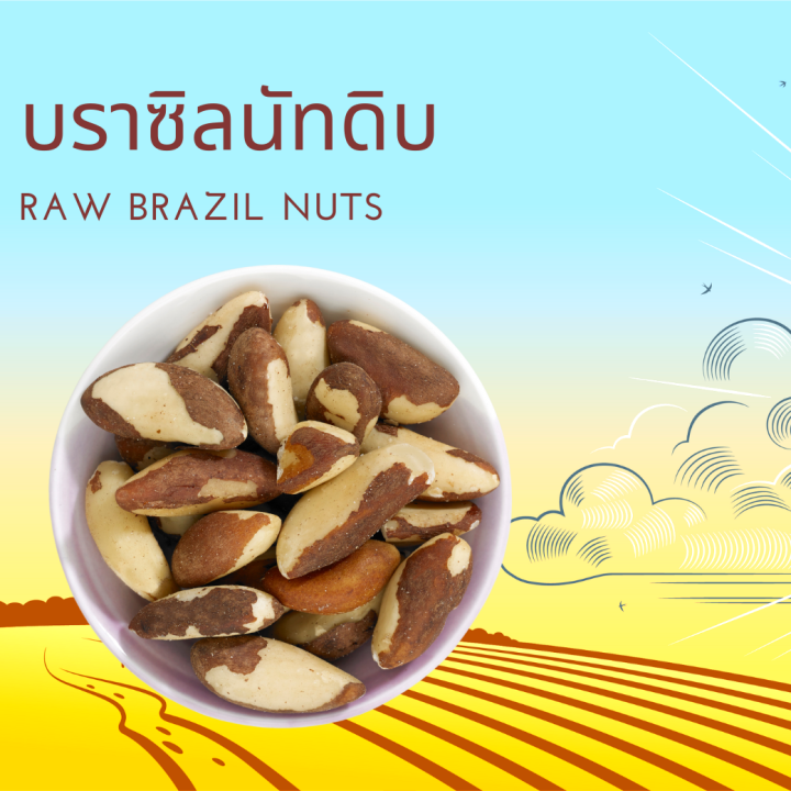 บราซิลนัทดิบ เต็มเม็ด ขนาด 250 กรัม/ 500 กรัม / 1000 กรัม Raw Brazil Nuts 250 g/ 500 g/ 1000 g