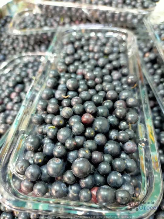 Fresh Blueberries Lazada PH