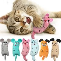 【cw】 6 Styles Catnip Cats Products for Pets Teeth Grinding Thumb Accessories 2022