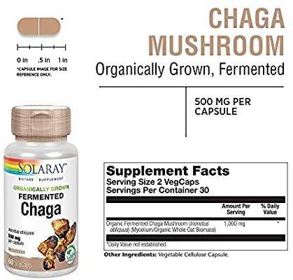 เห็ดถั่งเช่าสีทองออร์แกนิก-fermented-cordyceps-1000-mg-60-vegcaps-solaray-ถั่งเฉ้า-ถังเช่า