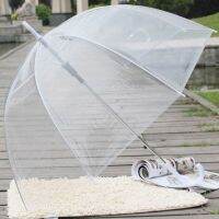 Fashion Transparent Clear Bubble Dome Shape Umbrella Outdoor Windproof Umbrellas Princess Weeding Decoration #314