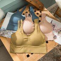 [ใหม่ H] ผู้หญิง39; S Tube Top ผู้หญิงไม่มีรอยต่อกีฬา Crop Top เซ็กซี่ Bra หญิง Tube Tops Home ฐานถังแขนกุด Camis ชุดชั้นในชุดชั้นใน Bra