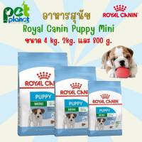 [ 4kg.][2kg.][800g.] อาหารสุนัข Royal Canin Puppy Mini โรยัลคานิน อาหารสำหรับ สุนัข ลูกสุนัข หมา ลูกหมา ขนมสุนัข