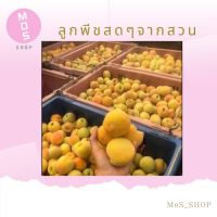 ลูกท้อสด? ลูกพีชสดจากเชียงใหม่ ส่งฟรี！ (桃子taozi) ราคาต่อกิโล คละไซส์ พร้อมส่ง