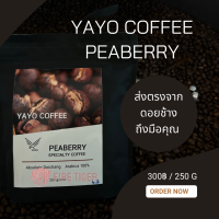 กาแฟ เมล็ดกาแฟสดคั่ว จากดอยช้าง100% กาแฟ เพียเบอรี่ จาก Yayo farm ดอยช้าง เชียงราย  FT99