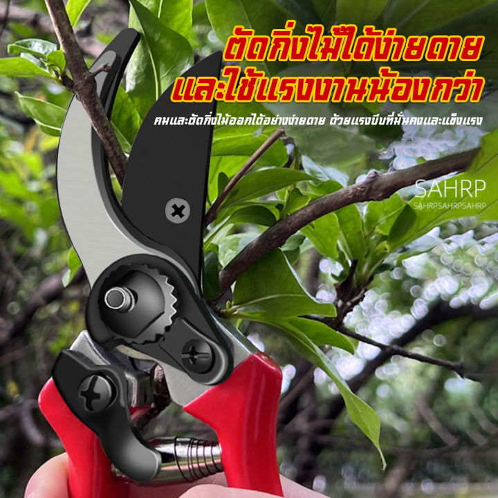 สาขาไม้พุ่มตัดเฉือน-secateur-ตัดบายพาสพืชสวนผลไม้ทั่งเครื่องมือ-pruner-ต้นไม้ขากรรไกรตัดแต่งกิ่งรับสินบนตัดบอนไซสวนมือ-b-097