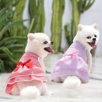 ? 2023 New Fashion version Cat Dog Dress Thin Small Pomeranian Bichon Teddy Corgi Schnauzer Pet Clothes Summer