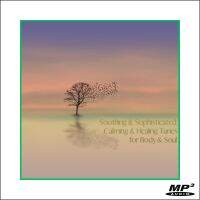 MP3 เพลงสากล Smooth Jazz ฟังเพลิน Soothing &amp; Sophisticated, Calming &amp; Healing Tunes for Body &amp; Soul (2023) ต่อเนื่อง 2 ชั่วโมงเต็มอิ่ม โรงแรม ร้านกาแฟ ร้านอาหาร ดนตรีในสวน