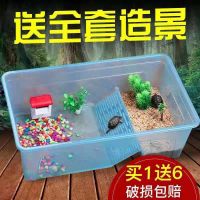 [COD] Turtle tank ecological home with sun terrace turtle box special cylinder breeding large