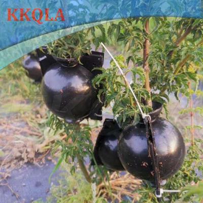 QKKQLA Plant Rooting Ball Case Fruit Tree Root Box Planter Cases Grafting Rooting Growing Breeding For Garden Tools Supplies